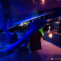 Exhibits inside the whale